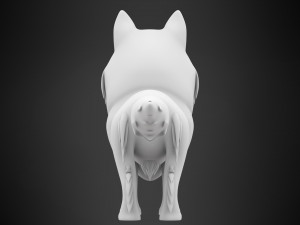 Rough Collie 3D Model