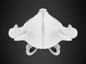 Teddy Bear Model 3D