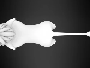 Mufasa-Jungtier 3D Modell