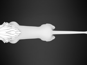 Kovu Adult Modèle 3D