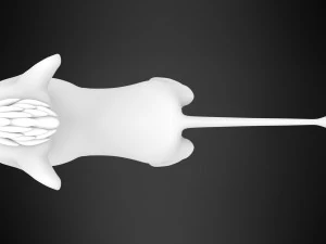 Scar Cub 3D Model