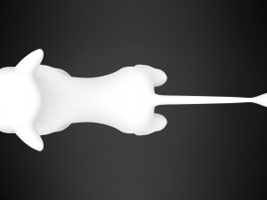 Rani Cub Model 3D