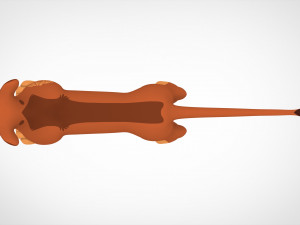 Rani Adult Modèle 3D