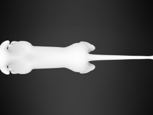 Rani Adult Modèle 3D