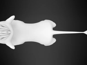 Kopa Cub 3D Model