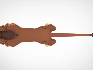 Baliyo 3D Model
