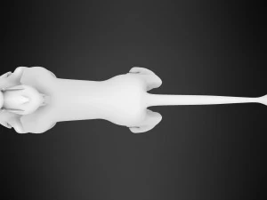 Baliyo 3D Model