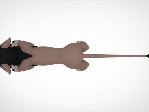 Nuka Adult Modèle 3D