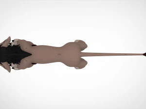 Nuka Adult 3D Model