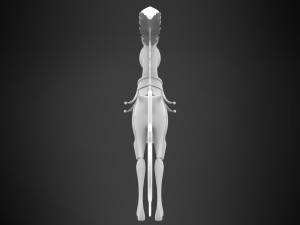 Violet Circus Horse 3D Модель