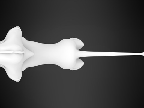 Surak Model 3D