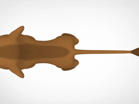 Kwanza Cub 3D Model