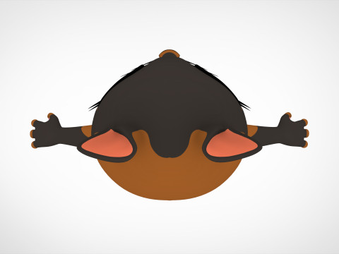 Lilliana Model 3D