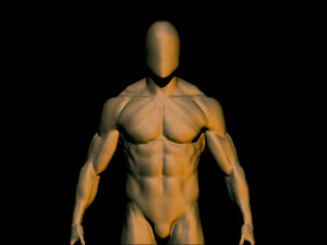 Muscular Man - Base Mesh 3D model