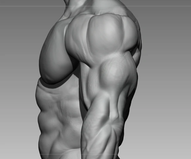 Bodybuilder base mesh 3D Model .c4d .max .obj .3ds .fbx .stl .blend 