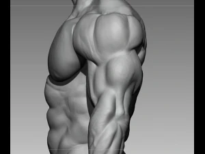 ボディービルダーベースメッシュ 3Dモデル