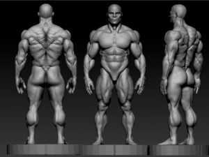 Bodybuilder base mesh Model 3D