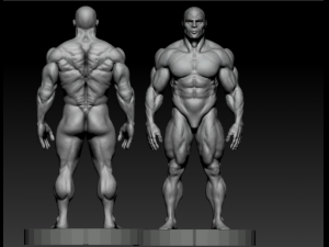 Bodybuilder base mesh Model 3D