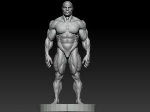 Bodybuilder base mesh Model 3D