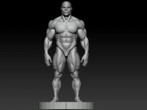 Bodybuilder base mesh 3D Model