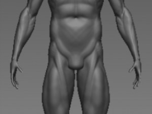 base mesh anatony 3D मॉडल