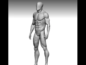 jaring dasar 3 Model 3D
