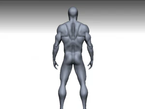 jaring dasar 3 Model 3D