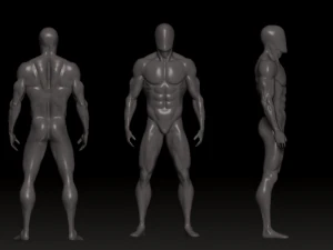 jaring dasar 3 Model 3D