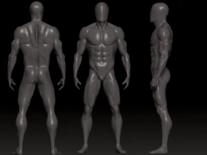 jaring dasar 3 Model 3D