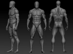 jaring dasar 3 Model 3D
