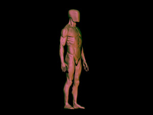 base mesh anatomy 4 3D 모델