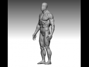 base mesh muscle Model 3D