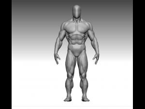 base mesh muscle Model 3D