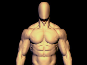 bodybulder base mesh 3D मॉडल