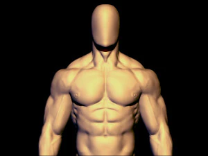 бодібілдер базова сітка 3D Модель