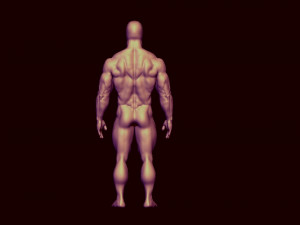bodybulder base mesh 3Dモデル