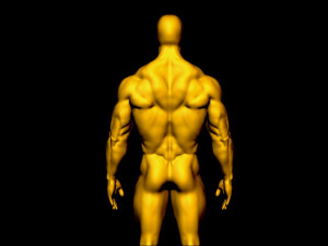 bodybulder base mesh 3Dモデル