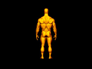 bodybulder base mesh 3Dモデル