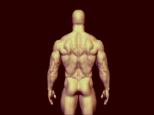 bodybulder base mesh 3Dモデル