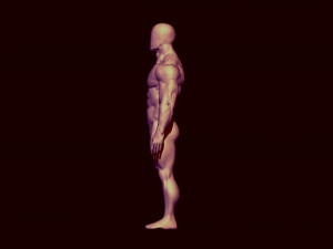 bodybulder base mesh 3Dモデル