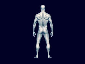 base mesh Model 3D