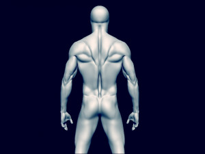 base mesh Model 3D