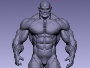 Base mesh muscle 2 3Dモデル