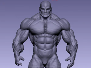 Base mesh muscle 2 3D Model