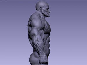Base mesh muscle 2 3Dモデル