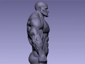 Base mesh muscle 2 3D Model
