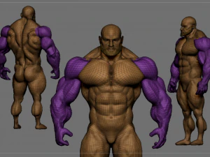 Base mesh muscle 2 3D Model
