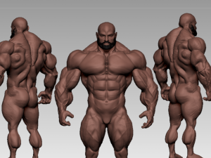 Base mesh muscle 2 3Dモデル