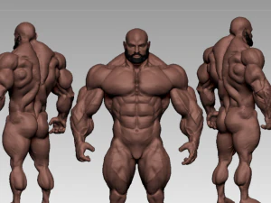 Base mesh muscle 2 3D Model