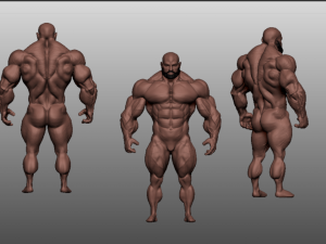 Base mesh muscle 2 3Dモデル